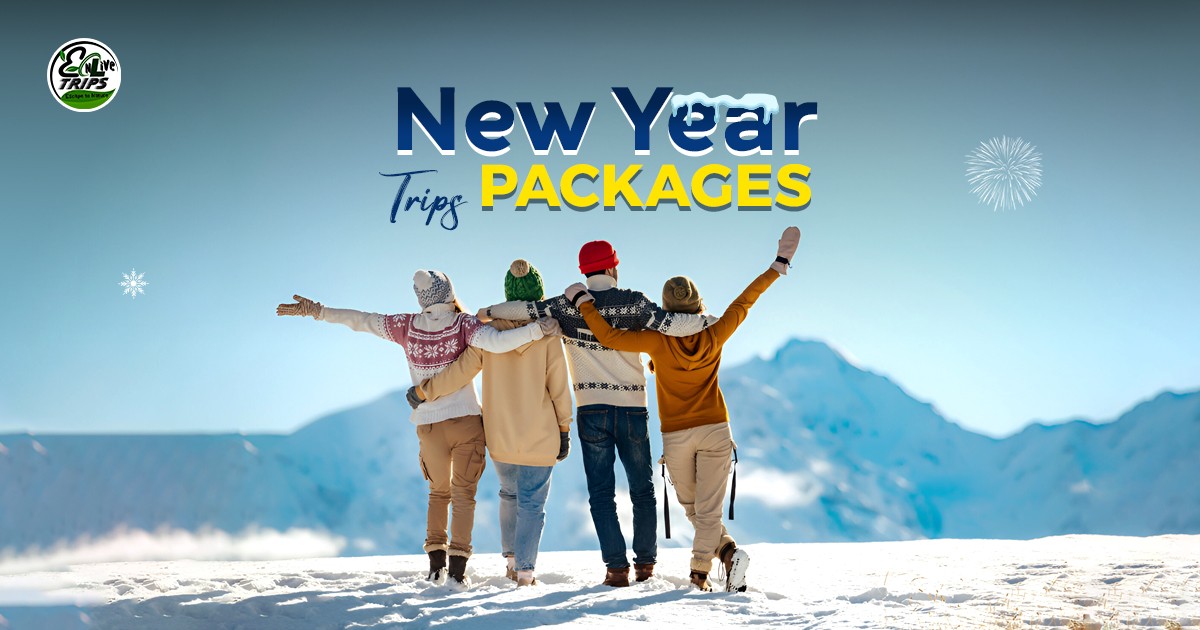 Best Places to Visit on Christmas & New Year from Delhi  2025-2026